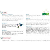 キシマ エクリア 消臭アーティフィシャルグリーンL 2個セット KH-61113X2 1セット（直送品）