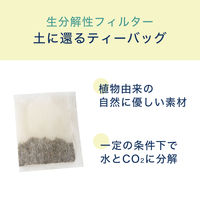 【水出し可】伊藤園 大容量 リラックスジャスミンティー ティーバッグ 1袋（100バッグ入） ジャスミン茶