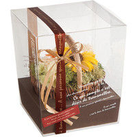 ヘッズ BKFフラワークリアBOX-XS BKF-FBXS 1セット（100枚：10枚×10パック）（直送品）