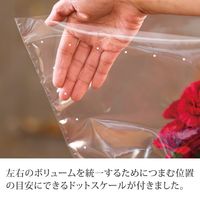 ヘッズ BKFギフトOPPポットバッグ-S BKF-OPCS 1セット（250枚：50枚×5パック）（直送品）