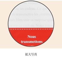ヘッズ フラワーギフトOPPバッグ-4 FL-O4 1セット（500枚：50枚×10パック）（直送品）