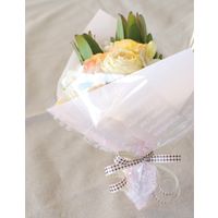 ヘッズ PEスクエアバッグ/ピンク-S M-2SQS 1セット（3000枚：50枚×60パック）（直送品）