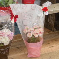 ヘッズ ミルキーポップギフトOPPバッグ-3/グリーン MPG-OP3 1セット（250枚：50枚×5パック）（直送品）