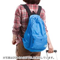 サンワダイレクト 折りたたみリュック（軽量・旅行おみやげ向き・ブラウン） 200-BAG077BR 1個（直送品）