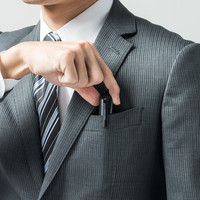 サンワダイレクト レーザーポインター 200-LPP028 1個（直送品）