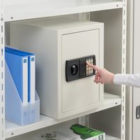 サンワダイレクト 電子金庫（マイナンバー・セキュリティ-対策・家庭用・テンキー・鍵式・壁掛け対応・中棚付き・43リットル） 200-SL045 1個（直送品）