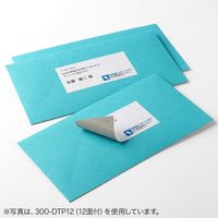 サンワダイレクト ラベルシール（下地が透けない 訂正シール・ノーカット・A4・楽貼りタイプ） 300-DTP01 1個（直送品）