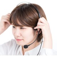 サンワダイレクト ワイヤレスガイド システム用マイク 400-HSGS-HS1 1個（直送品）