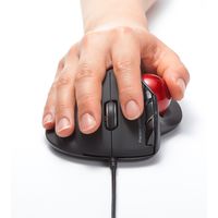 有線マウス　5ボタン　大型サイズ　レーザー　400-MA072BK　サンワサプライ　１個（直送品）