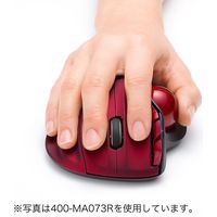 ワイヤレスマウス　無線　5ボタン　大型サイズ　レーザー　400-MA073BK　サンワサプライ　１個（直送品）