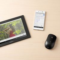 サンワダイレクト ワイヤレスマウス 400-MA093BK 1個（直送品）