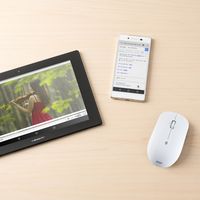 サンワダイレクト ワイヤレスマウス 400-MA093W 1個（直送品）