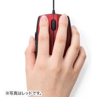 サンワダイレクト 有線マウス（静音・サイレント・左右対称・1200カウント・戻る・進む・ミドルサイズ・ガンメタリック） 400-MA107GM 1個（直送品）