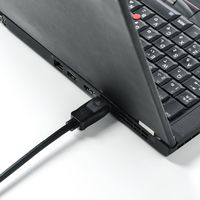 サンワダイレクト DisplayPort-HDMI変換ケーブル 500-KC021-2 1個（直送品）