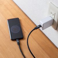 サンワダイレクト USB急速充電器（Power Delivery対応AC充電器・18W・コンパクトサイズ） 700-AC024 1個（直送品）