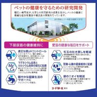 メディファス 毛玉ケアプラス室内猫11歳から チキン＆フィッシュ味 国産 2.7kg（450g×6袋）1袋 キャットフード ドライ