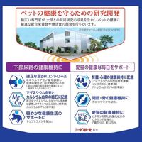 メディファス 猫用 11歳から チキン味 国産 6kg（500g×12袋）1個 キャットフード ドライ