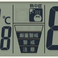 リズム インフォームナビEXシチズン液晶表示付木枠電波時計温湿度計 カレンダー 幅361×奥行60×高さ361mm 茶 4FY620-006 1個（直送品）