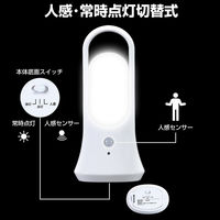 朝日電器 LEDセンサー付ライト PM-L701 1個