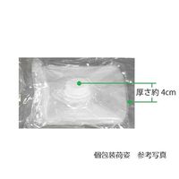 ステリテナープラス(滅菌容器) 10L 3ポートコネクタASSYセット(1/4インチ)1箱(1枚×5パック入) SR-10A(1/4)（直送品）