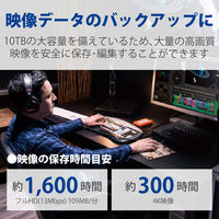 HDD 外付け 10TB d2 Professional STHA10000800 LaCie 1個（直送品）