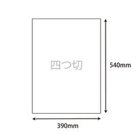 シモジマ 画用紙 四ツ切 みずいろ B-29 002165002 1セット（10束）（直送品）