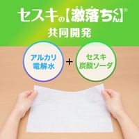 セスキの激落ちくんシート キッチン用 お掃除シート 油汚れ 洗剤不使用（1パック（20枚入×4個）×12）レック
