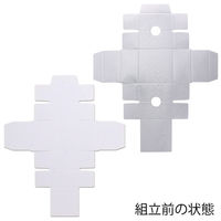 シモジマ 洋品箱 A-1 アクセサリー用 S 銀 006816600 1セット（50枚入×6）（直送品）