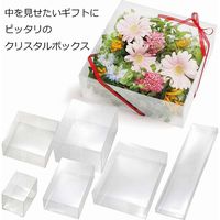 シモジマ クリスタルBOX V-19 006833402 1セット（10枚入×10）（直送品）