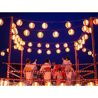 シモジマ シモジマ 紅白ポリテープ 80 007275510 1セット（5巻）（直送品）