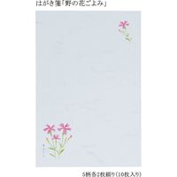 あかしや はがき箋「野の花ごよみ」 AO-04L 1セット(5セット)（直送品）