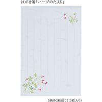 あかしや はがき箋「ハーブのたより」 AO-05L 1セット(5セット)（直送品）