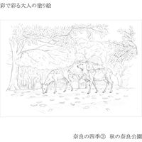 あかしや 彩で彩る大人の塗り絵 奈良の四季 4枚セット AO-50NB 1セット(5パック)