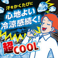 アイスノン シャツミスト エキストラミントの香り つめかえ用280mL 1個 白元アース