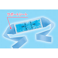 タカビシ化学 ひんやりタイム S3873-05 1個