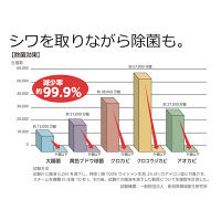 ツインバード　ハンディーアイロン＆スチーマー　シャンパンゴールド　SA-4088G　1台