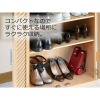 ツインバード（TWINBIRD） くつ乾燥機 SD-4546R 1台