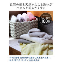 丸中 日本製 ホテルスタイルタオル ハンドタオル オフホワイト HSLd203W999001 1セット(10枚)