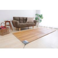 アイリスオーヤマ ホットカーペット 1畳 電気カーペット 88×176cm 撥水加工 フローリング調 HCM-1809FL-M 木目調