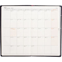 高橋書店 ニューダイアリーアルファ1 814（直送品）