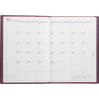 高橋書店 デスクダイアリーカジュアル2 962（直送品）