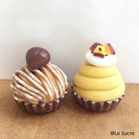 アーテック 植物性樹脂ねんど ラフィーネ 23002 2個