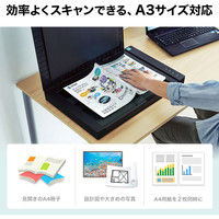 スキャナ　A3サイズ対応　フラットヘッド　2400dpi対応　TWAIN対応　高速スキャン　PSC-12UF　サンワサプライ　1個（直送品）