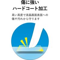 エレコム 電子辞書フィルム/Lサイズ/CASIO DJP-TP032 1個（直送品）