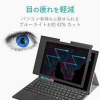 Surface Pro6 フィルム プライバシーフィルター マグネットタイプ TB-MSP6FLMGPF2 エレコム 1個