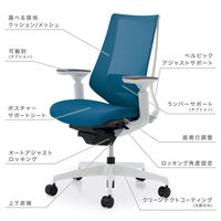 【組立設置込】コクヨ デュオラ ヘッドレスト付 可動肘 ランバーサポート無 樹脂脚ブラック クッション フローリング用 ブラック×カーマイン 1脚（直送品）