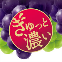 アサヒ飲料 Welch's グレープ50 濃いぶどう 280ml 1セット（48本）