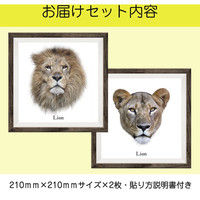 マッチングジャパン フチなし ラミあり フレームステッカー リアル動物『動物_01』 CO-9043-AS 1個(2枚セット)（直送品）
