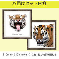 マッチングジャパン フチなし ラミあり フレームステッカー リアル動物『動物_02』 CO-9044-AS 1個(2枚セット)（直送品）