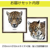 マッチングジャパン フチなし ラミあり フレームステッカー リアル動物『動物_04』 CO-9046-AS 1個(2枚セット)（直送品）